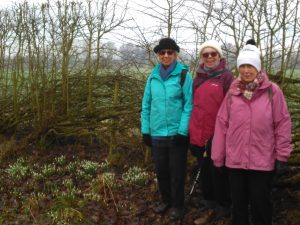 Strollers and Snowdrops